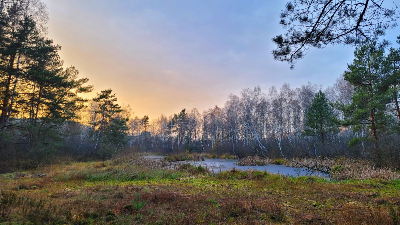Rezerwat torfowiskowy Broduszurki